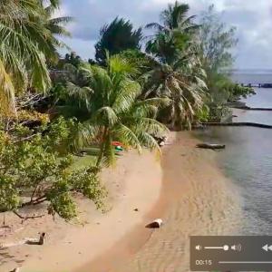 RAIATEA - The BEACH HOUSE - plage sur le lagon !