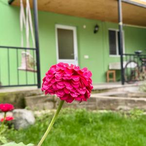 Buddy Apartment Borjomi