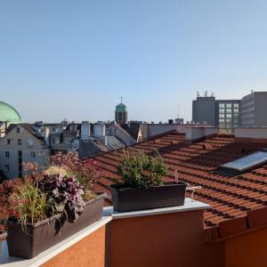 Malt & Monarch Apartment