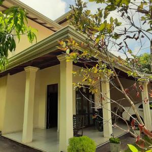 Honey Mango Homestay