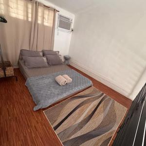 Tiny loftype house