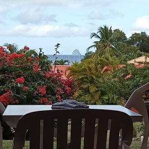 Sea view studio, beaches, pool bar, car option