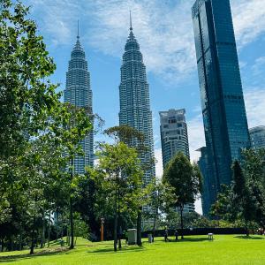 Green Space tower view