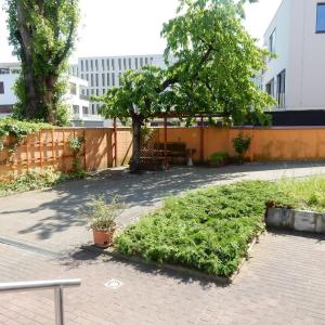 Apartment in Dresden with swimming pool