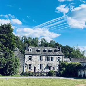 Castle in Ferrières with Pond Garden