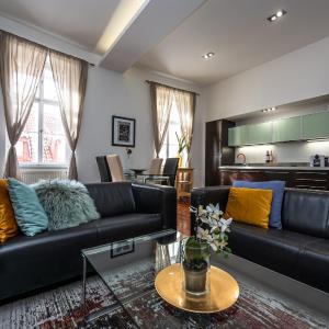 Spacious elegant apartment at the Old Town Square