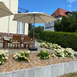 HomeCompany Dresden ID 26947