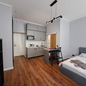 Riga Central apartment