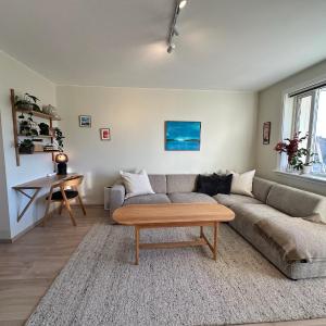 Cozy and spacious apartment at Hasle