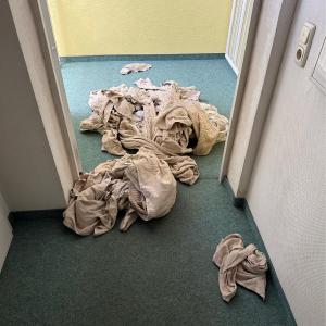 Large flat with WIFI and parking