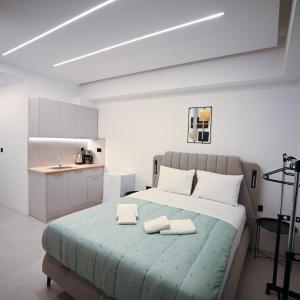 Erato Pedion Areos Suite by Zeus Suites