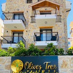 olives tree