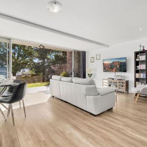Edge One - Dog Friendly