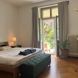 Free Parking & Basel Card & Self-Check-in