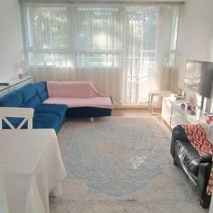 Beautiful Flat in Central London