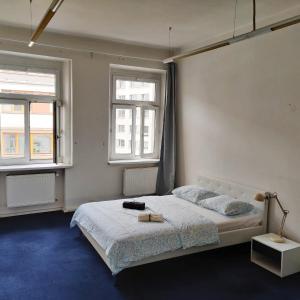 Zizkov Room - City Center Near By