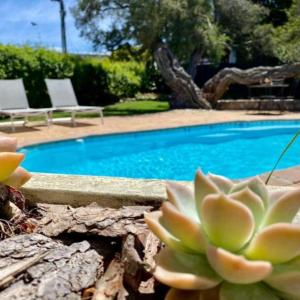 Hermanus Self-Catering