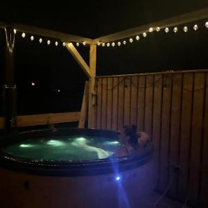 Apartamenty Baj na Polnej -Górski Azyl
