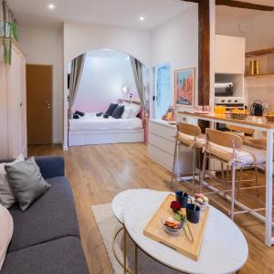 Studio Toulouse Capitole La Voute Rose