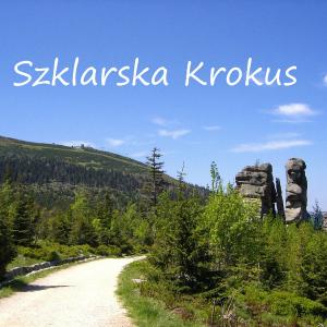 Apartament Szklarska Krokus - 7 minut pieszo - kolej linowa na Szrenicę, wysoki standard, światłowód, AGD, TV, parking