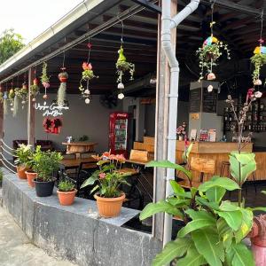 The Voyager Guesthouse