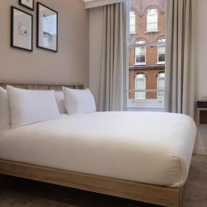The Drey - Kensington, Earl's Court