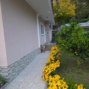 Green Oasis Home