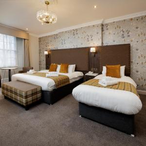 New Town Hotel