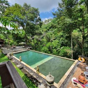 Bali Jungle Resort