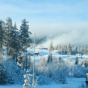 Trysil turistesenter liten leilighet
