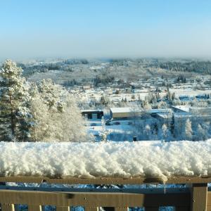 Trysil turistesenter hytte