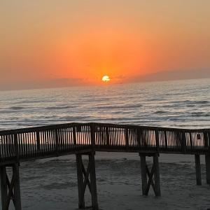 Seascape 1110-Parrot Paradise