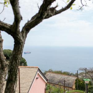 La casa tra gli ulivi