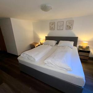 Design-Apartment im Zentrum von Scheidegg