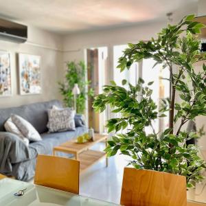 Apartamento centrico - catedral