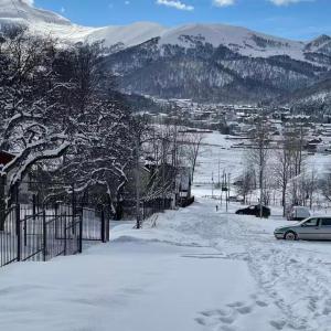 Luxury Villa in the heart of Bakuriani