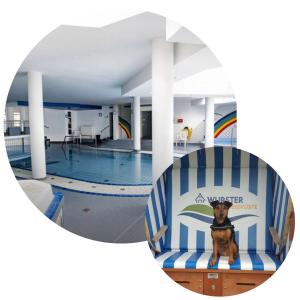 Kleiner Garten Sauna und Hallenbad kostenlos Hund willkommen