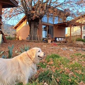 Marmaric Guesthouse