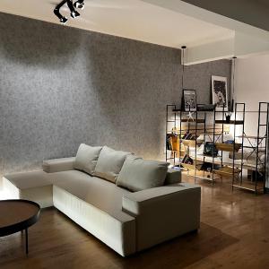 Loft en Gracia