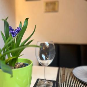 Beishan Appartements Nürnberg in Zentrum Dachgeschoss