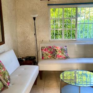 A Few Steps to Malecon and Sunny Beaches