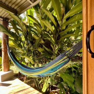 Casa Salvaje Vacation Rentals