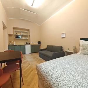 Spacious, Light Studio Apartment in Vinohrady
