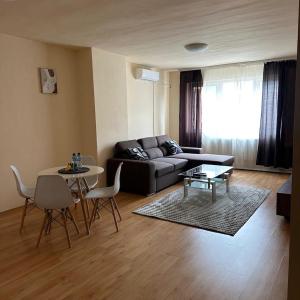 Nice, Spacious and Cozy Apartment