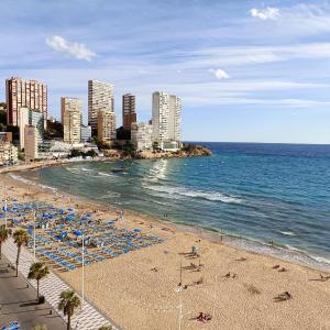 Torre Principado-Fincas Benidorm