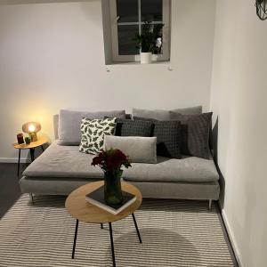 Newly renovated apartment close to city center