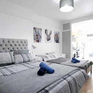Large Studio Garden Flat on Golders Green Road