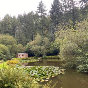 The Goose Nest luxury lakeside shepherd hut in Cardinham Woods, Cornwall
