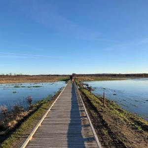 Ørbakke - Søborg Sø