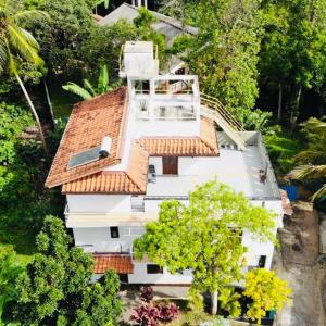 Villa Auro